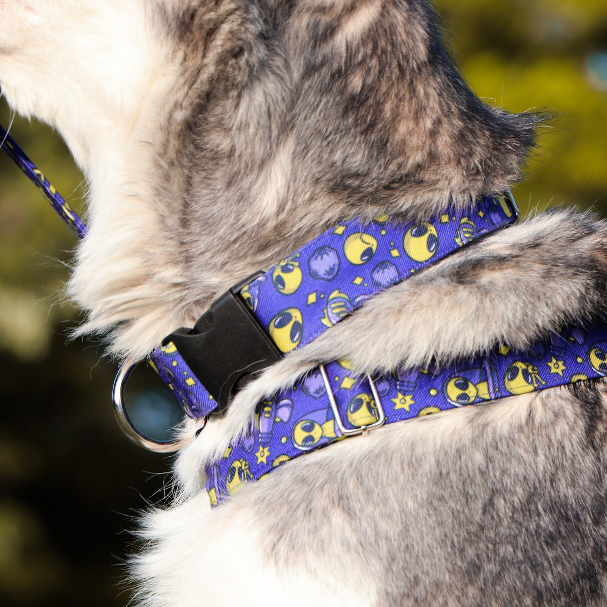 Collar Alien Fashion – G - Imagen 2